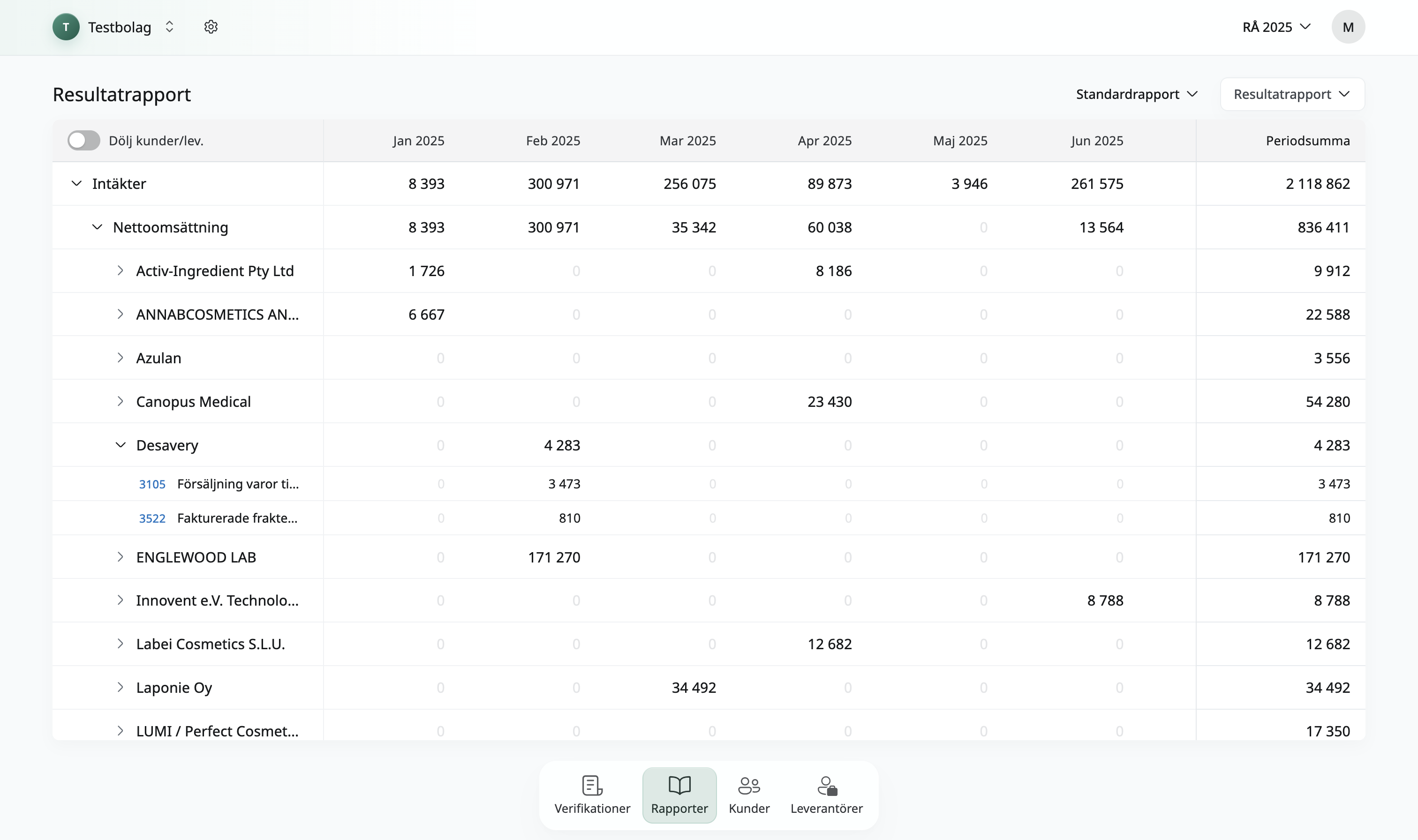 Financial reporting platform project preview
